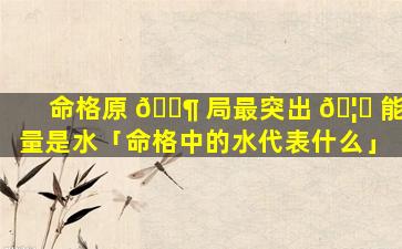 命格原 🐶 局最突出 🦅 能量是水「命格中的水代表什么」